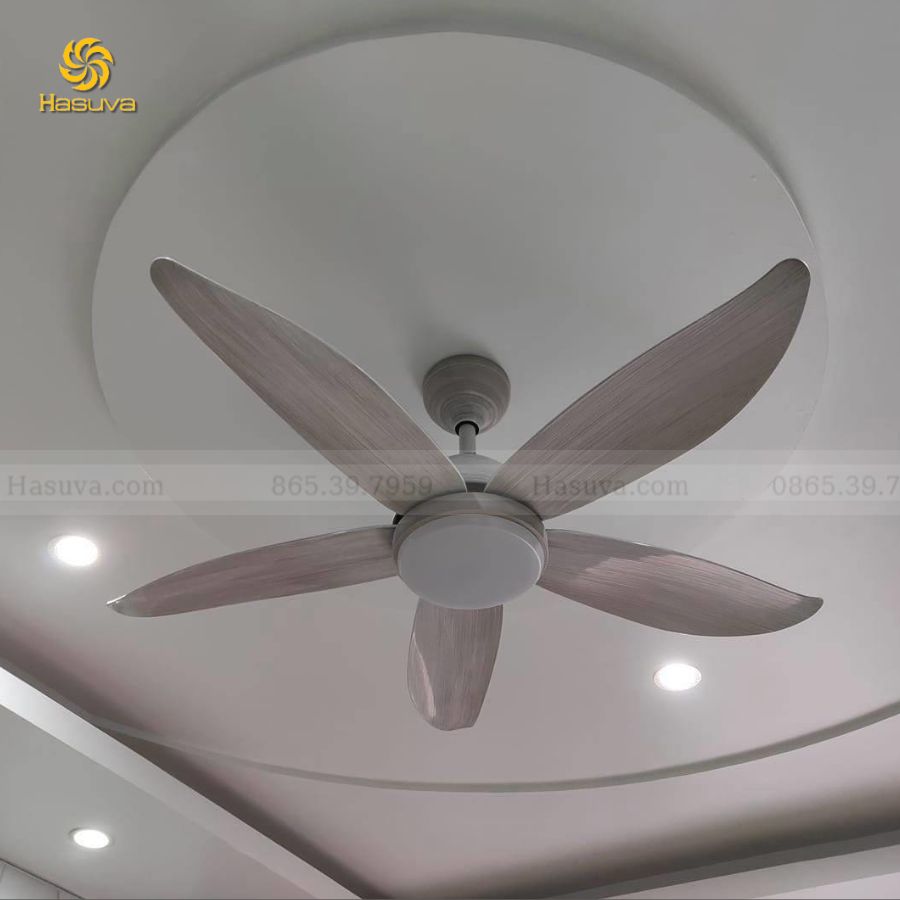 Quạt Trần Đèn 5 Cánh Cong